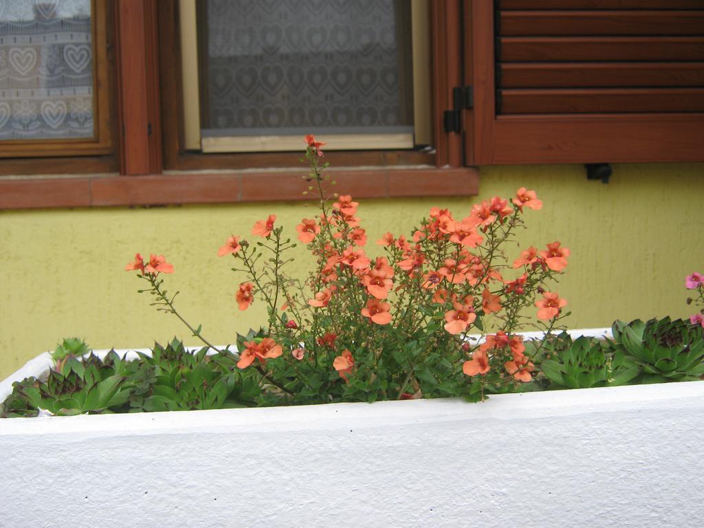 Apartment Meridiana Rovigno Esterno foto